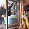 Thumbnail of related posts 022