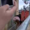 Thumbnail of related posts 010
