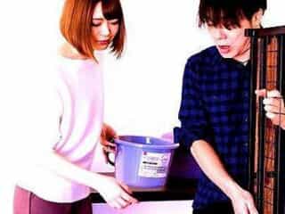 Thumbnail of new posts 144