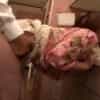 Thumbnail of related posts 027