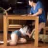 Thumbnail of related posts 073