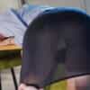 Thumbnail of related posts 062