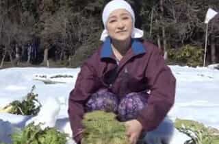 Thumbnail of new posts 044