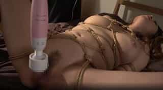 Thumbnail of new posts 110