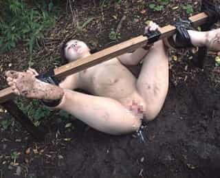 Thumbnail of new posts 011